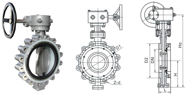 Lug Type Butterfly Valve - RAKO VALVE